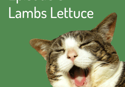 Episode 6 – Lambs Lettuce